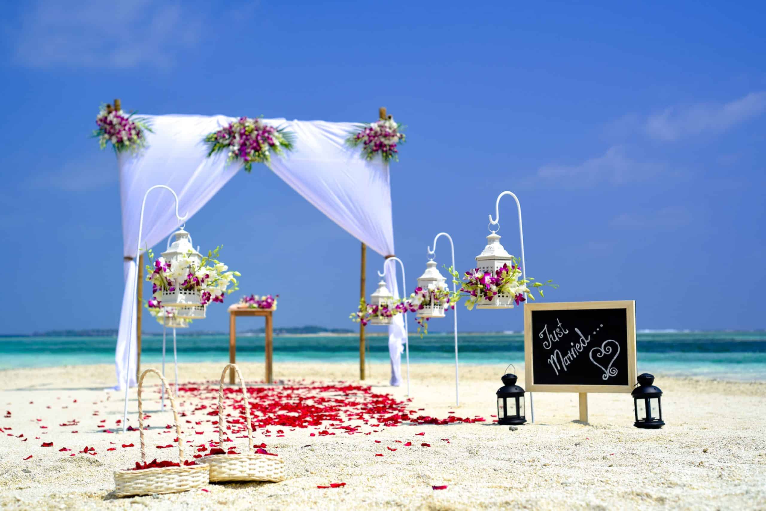 Wedding Ideas