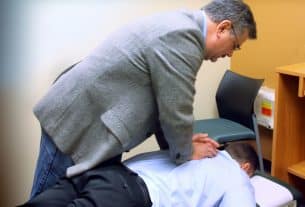 Equine Chiropractors   