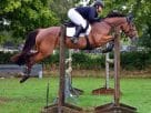 MS won’t stop me showjumping