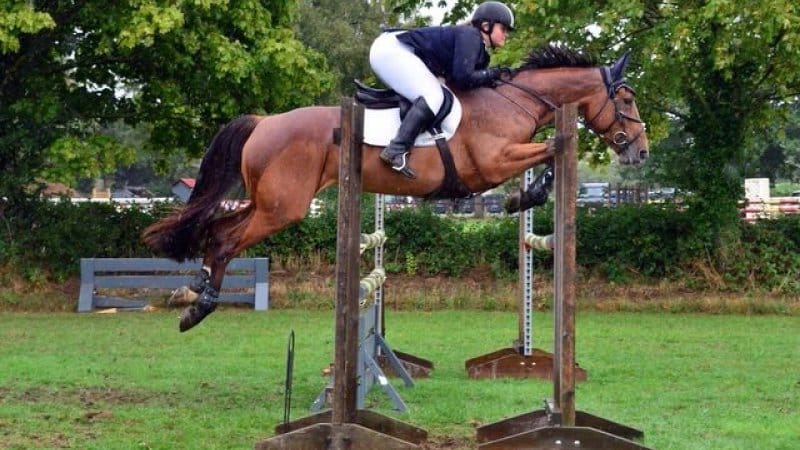 MS won’t stop me showjumping MS won’t stop me showjumping