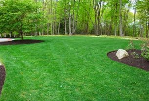Obtain the Secret Connected With Hiring a Highly Skilled Landscape Architect