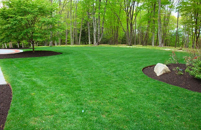 Landscaping Architecture