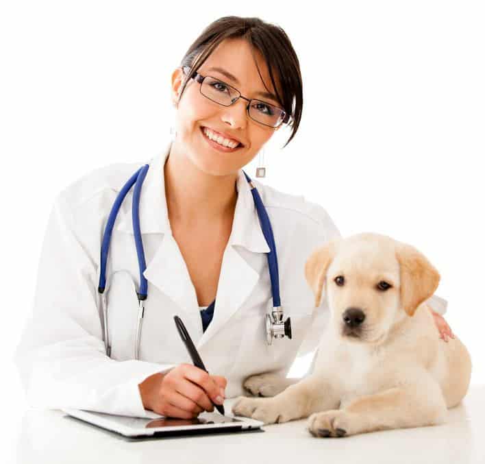 Pet Health