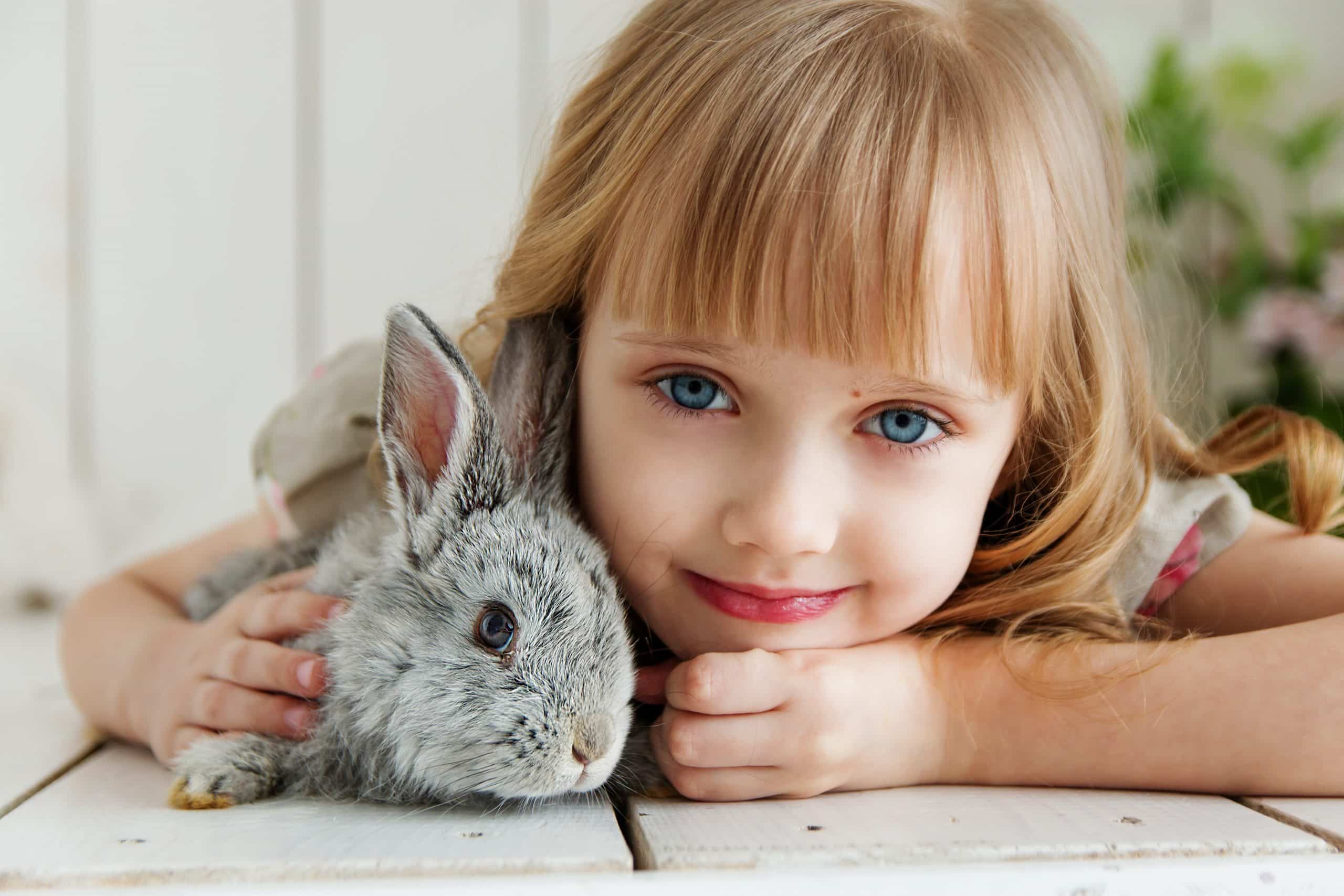 Pet Community