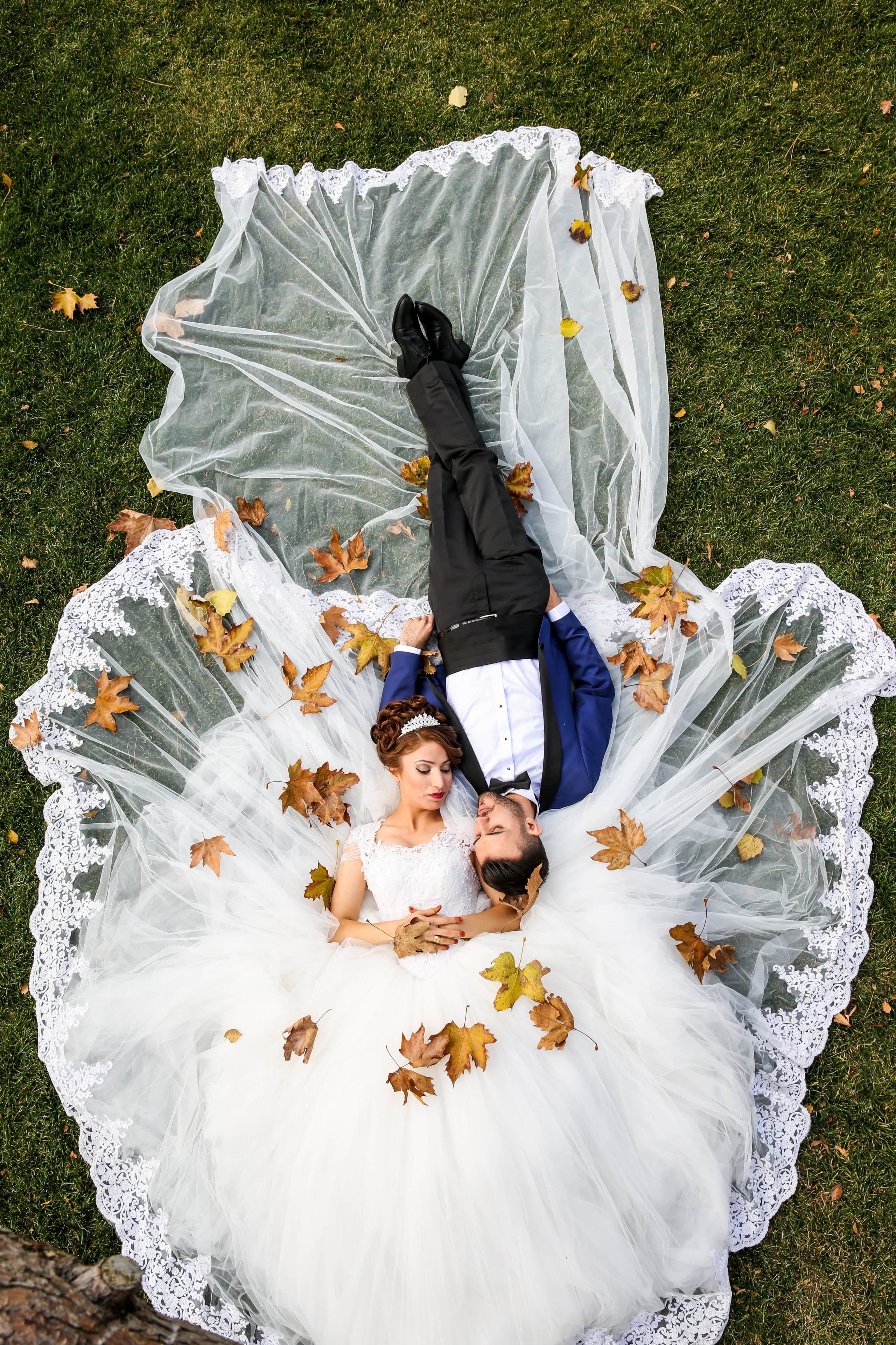 Wedding Decorations