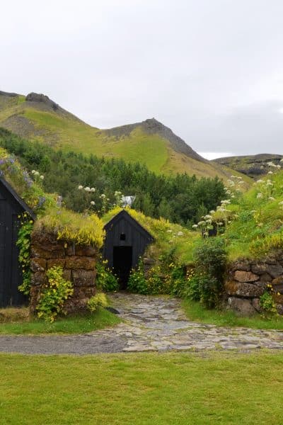 What is Green Roofing?
