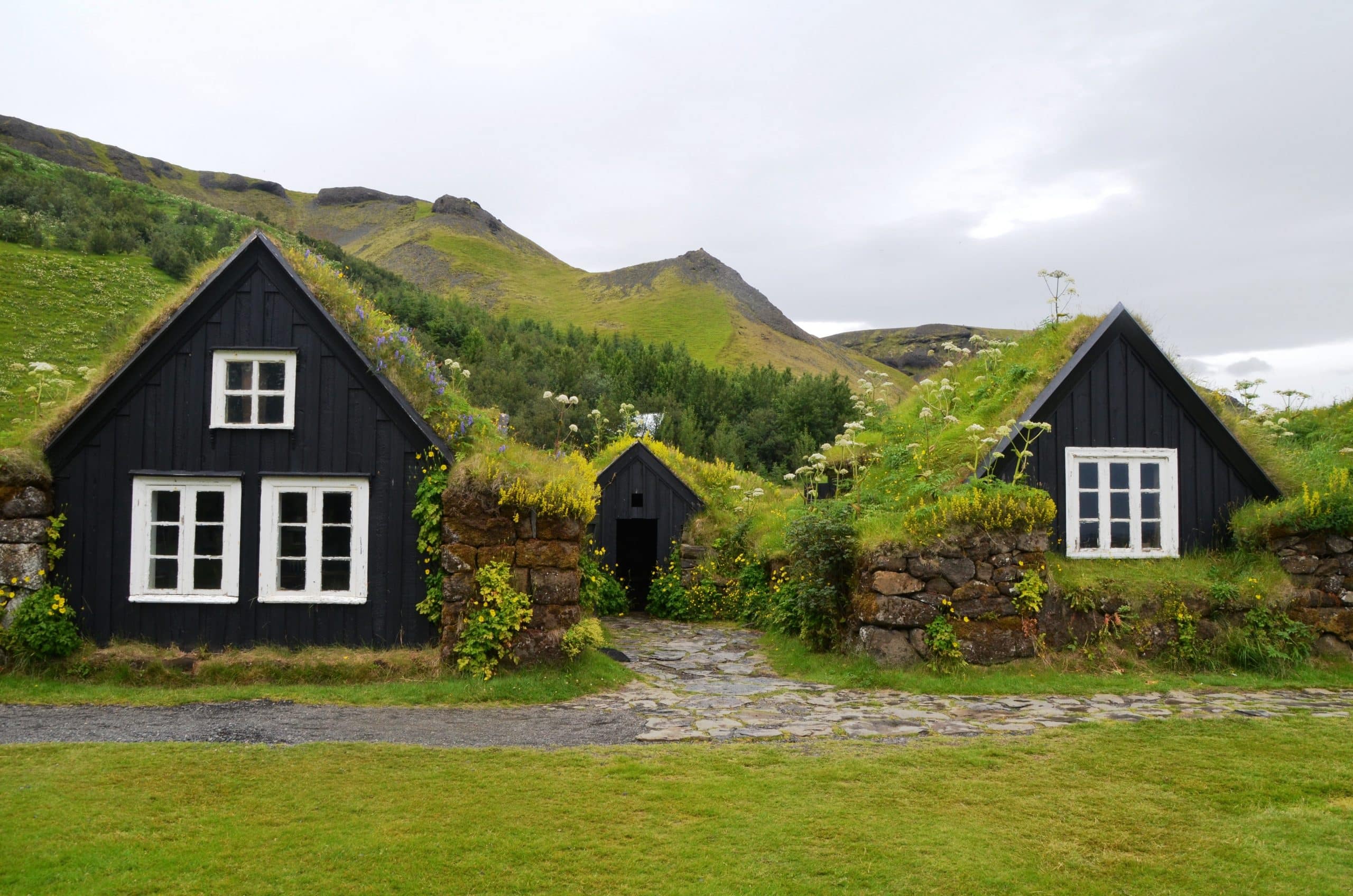 Green Roofing