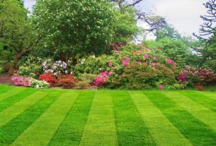 Helpful Tips For Thinking Up Some Good Landscape Lighting Ideas