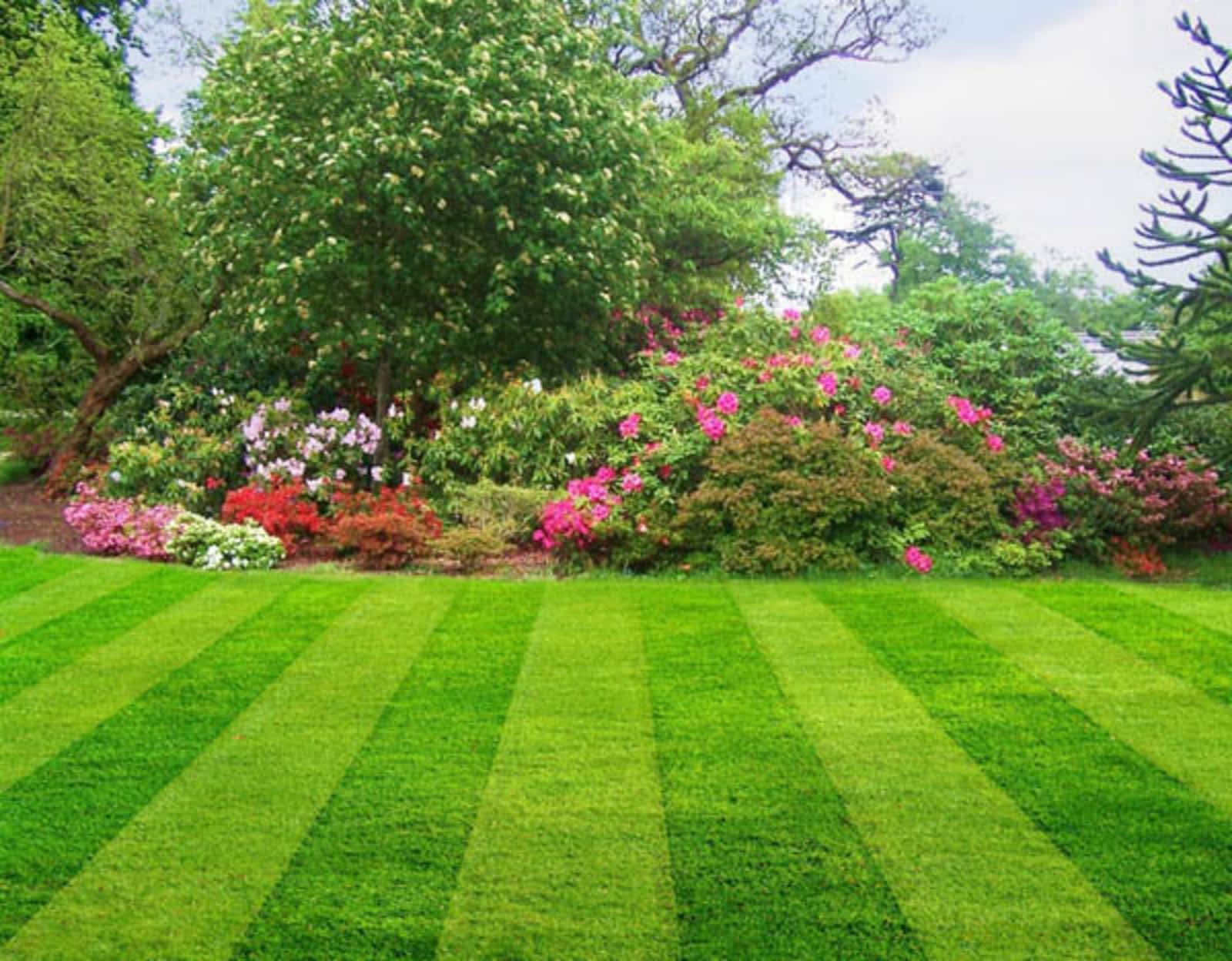 Landscape Lighting