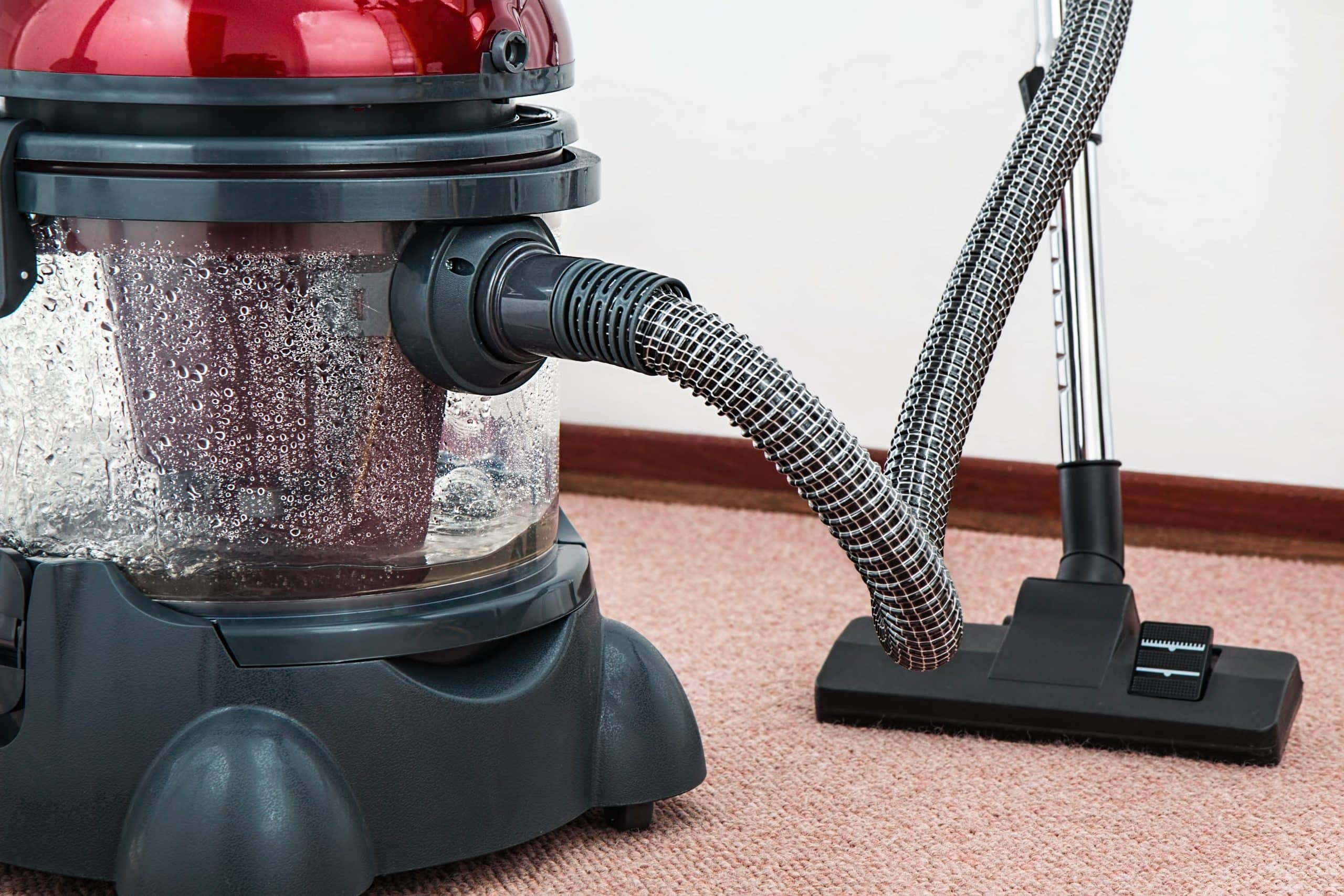 Steam Vacuum