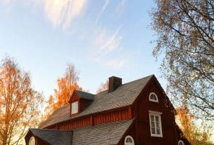 Roof Ideas and Tips That anyone can use