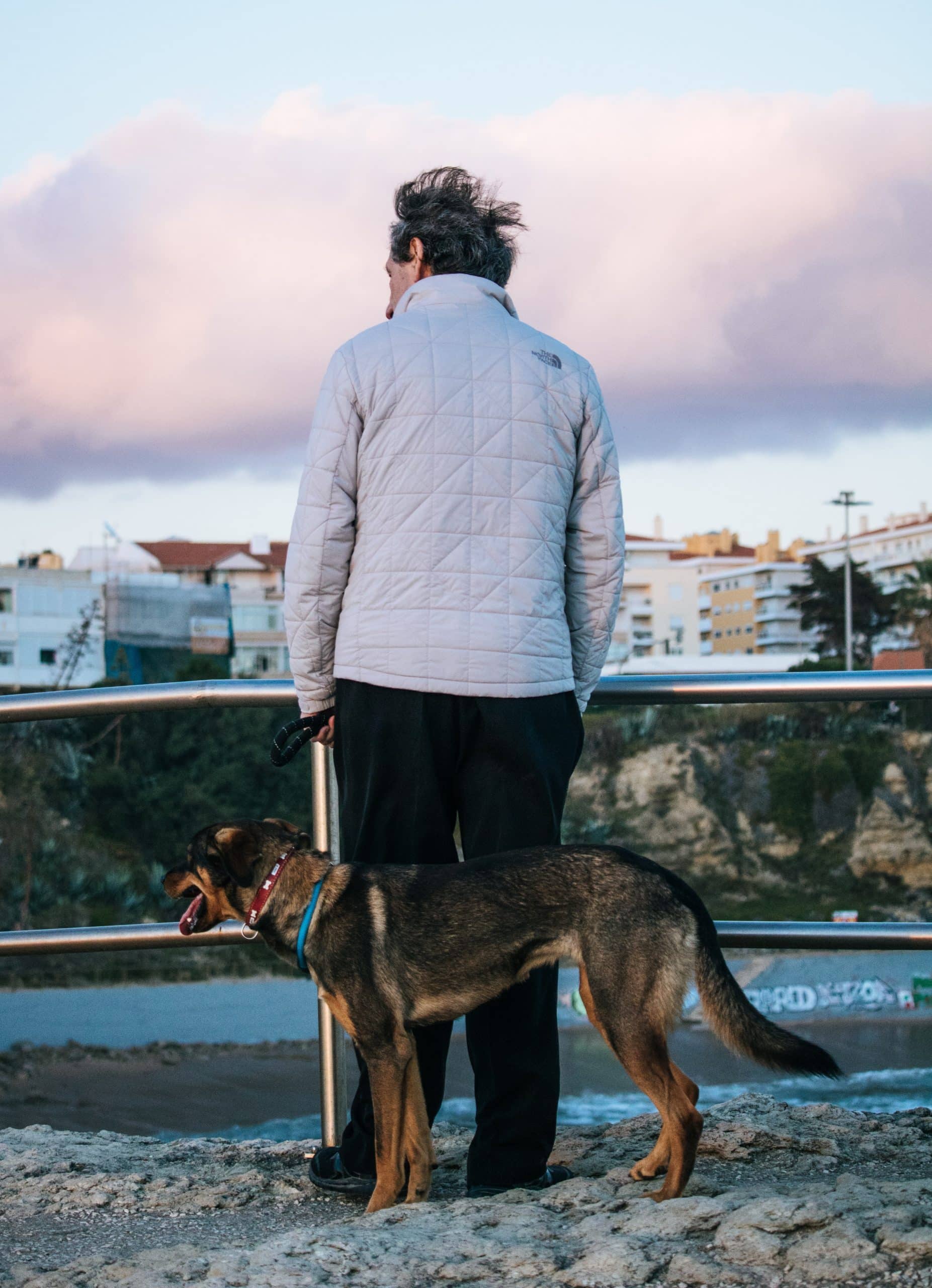 Pet Care Jobs