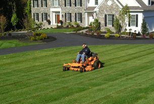 Landscape Design Ideas for Unique Terrains
