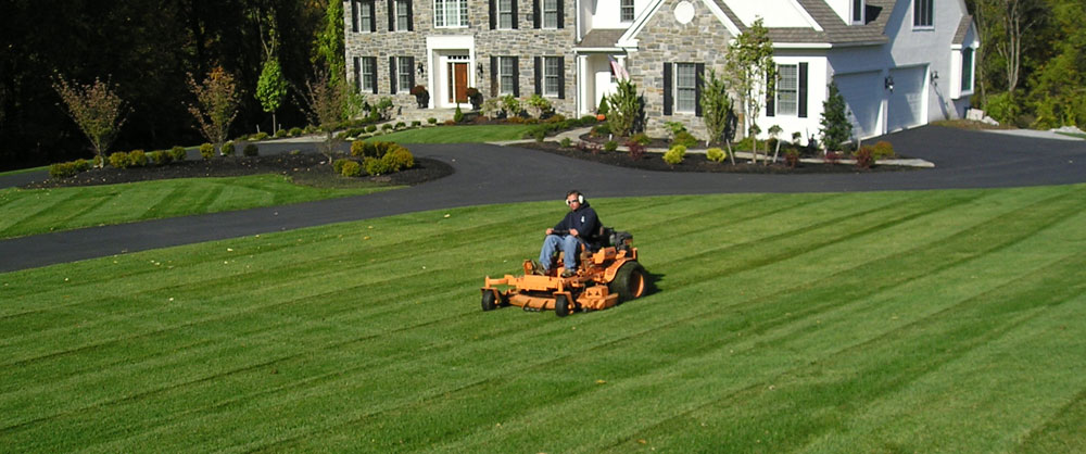 Landscape Design
