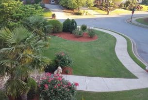 Modern Landscaping Design