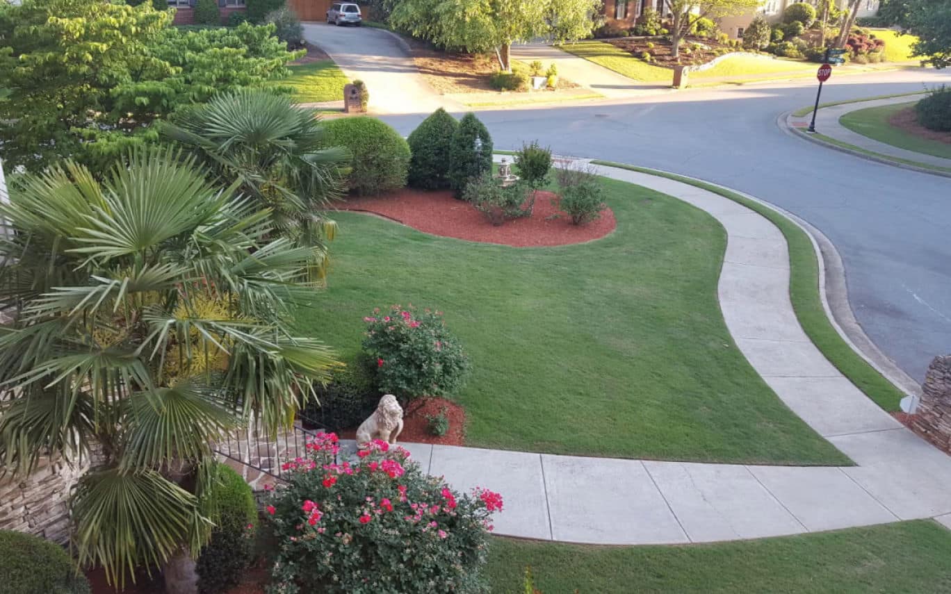 Landscape Design