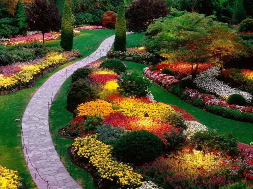 Landscape Design