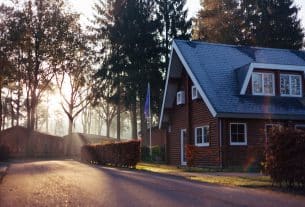 The future for timber in landscape design