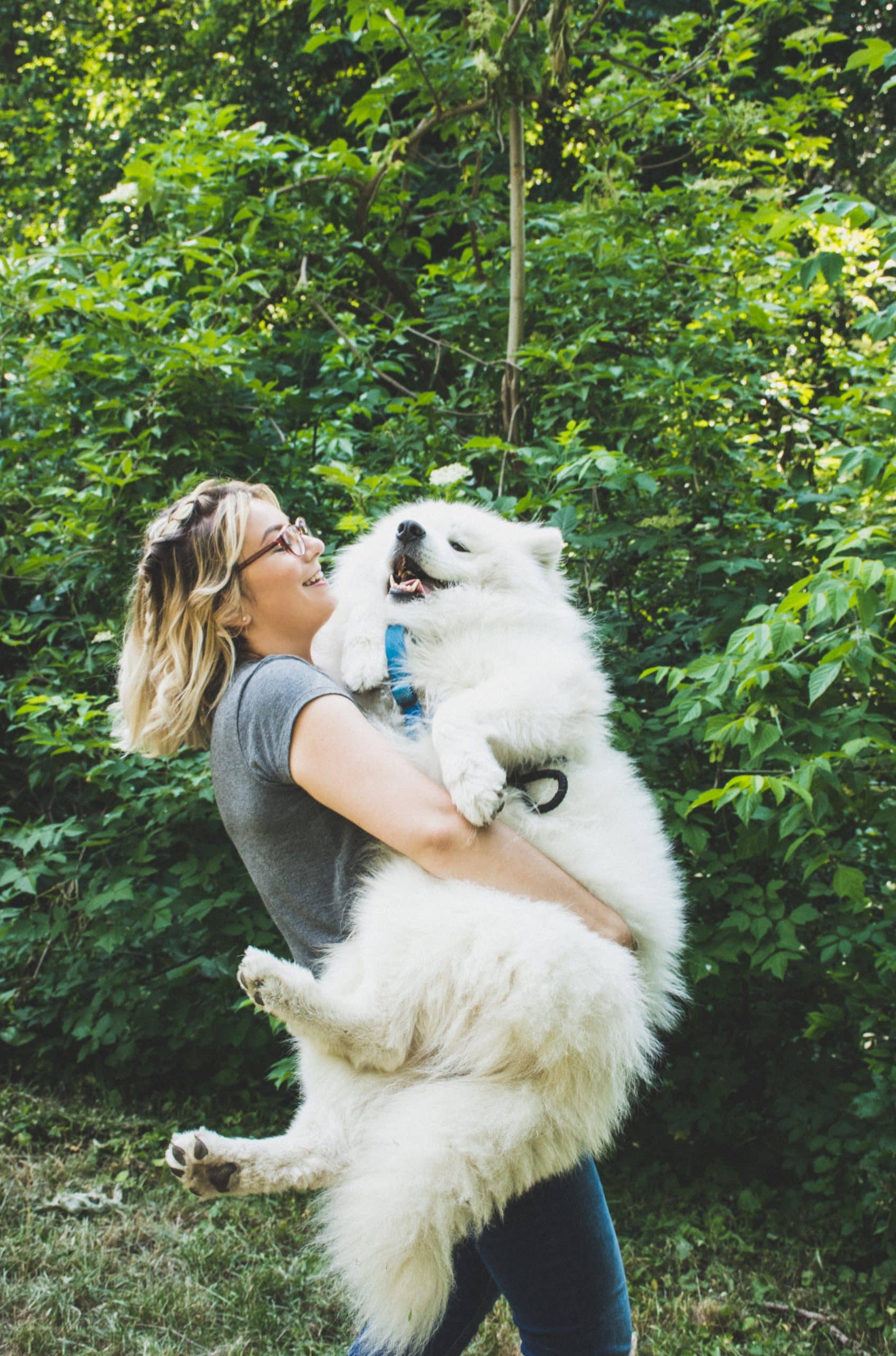 Pet Insurance
